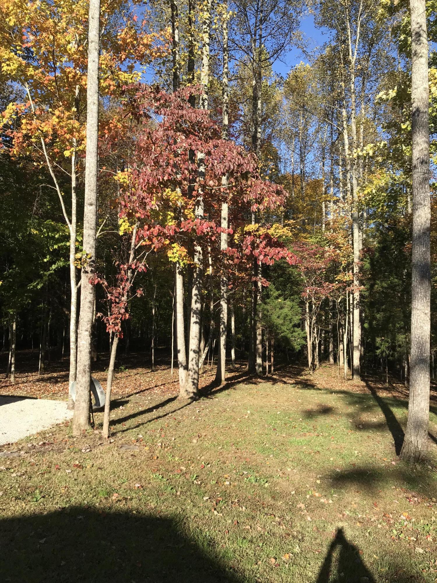 2446 Poplar Springs Road Liberty, KY 42539 - Photo 17 of 19 IMG_3494