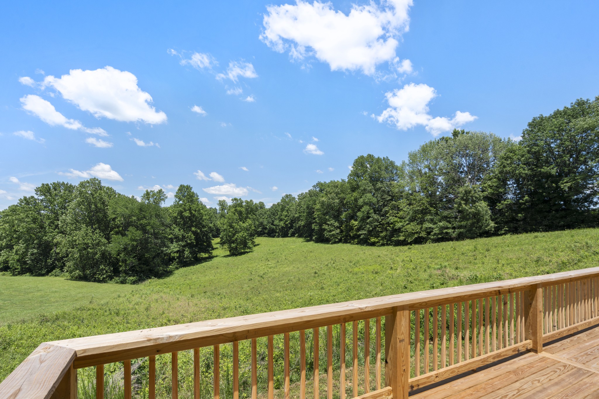 694 Nels Adams Road Dickson, TN 37055 - Photo 19 of 57