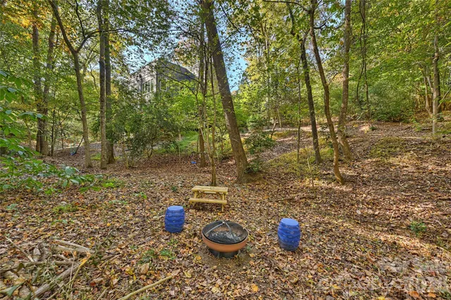 a view of a forest with trees