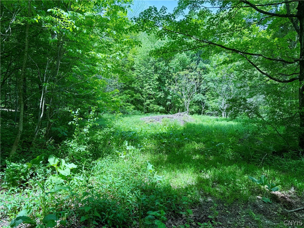 6229 Isenecker Road Leyden, NY 13309 - Photo 33 of 44 clearing on 2nd Parcel