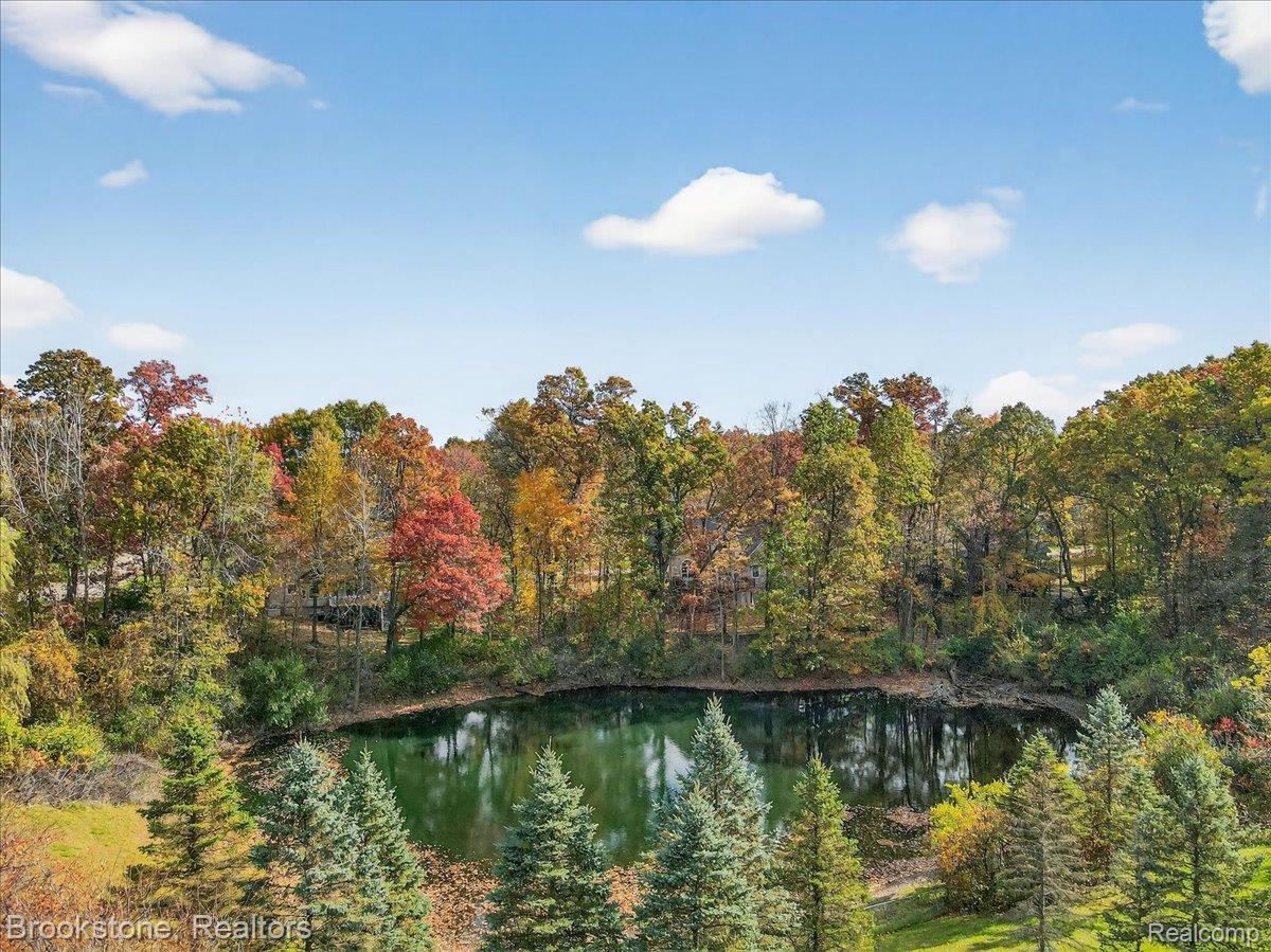 9748 Forest Ridge Drive Clarkston, MI 48348 - Photo 17 of 53 Water view with a forest