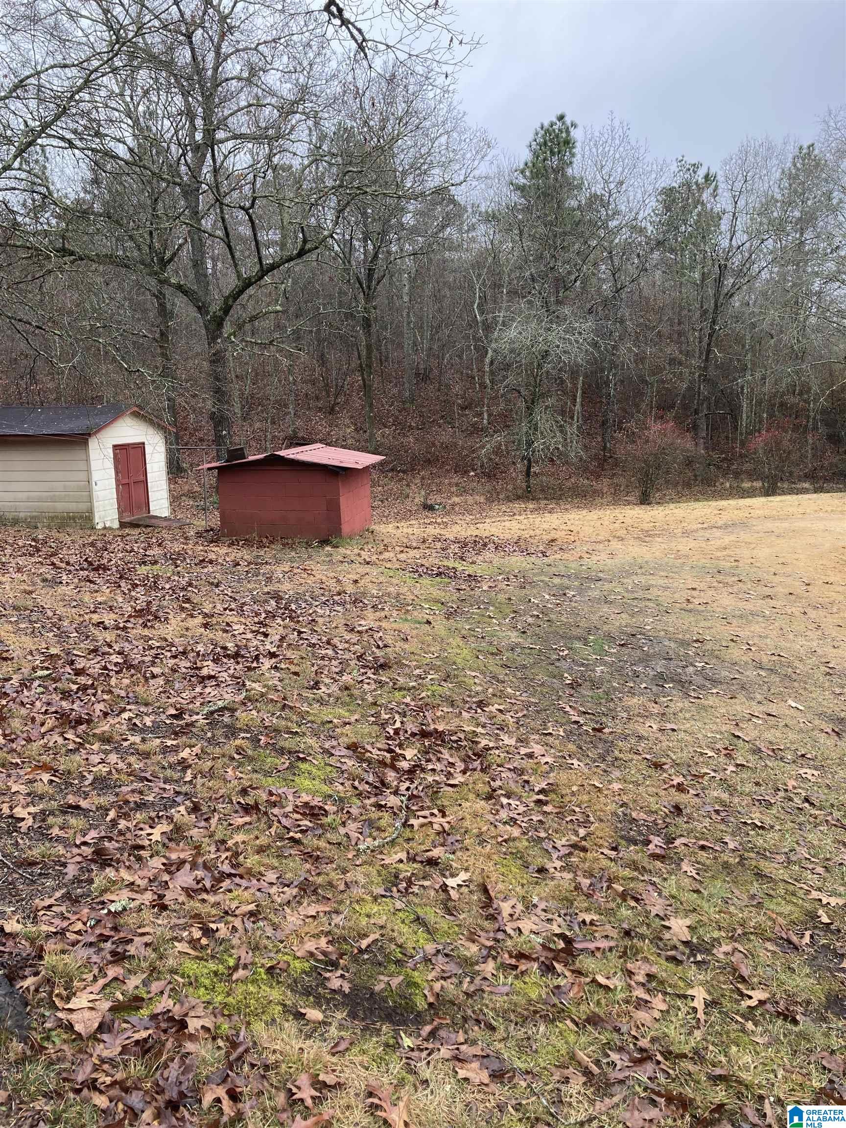 3675 Providence Road Talladega, AL 35160 - Photo 24 of 30