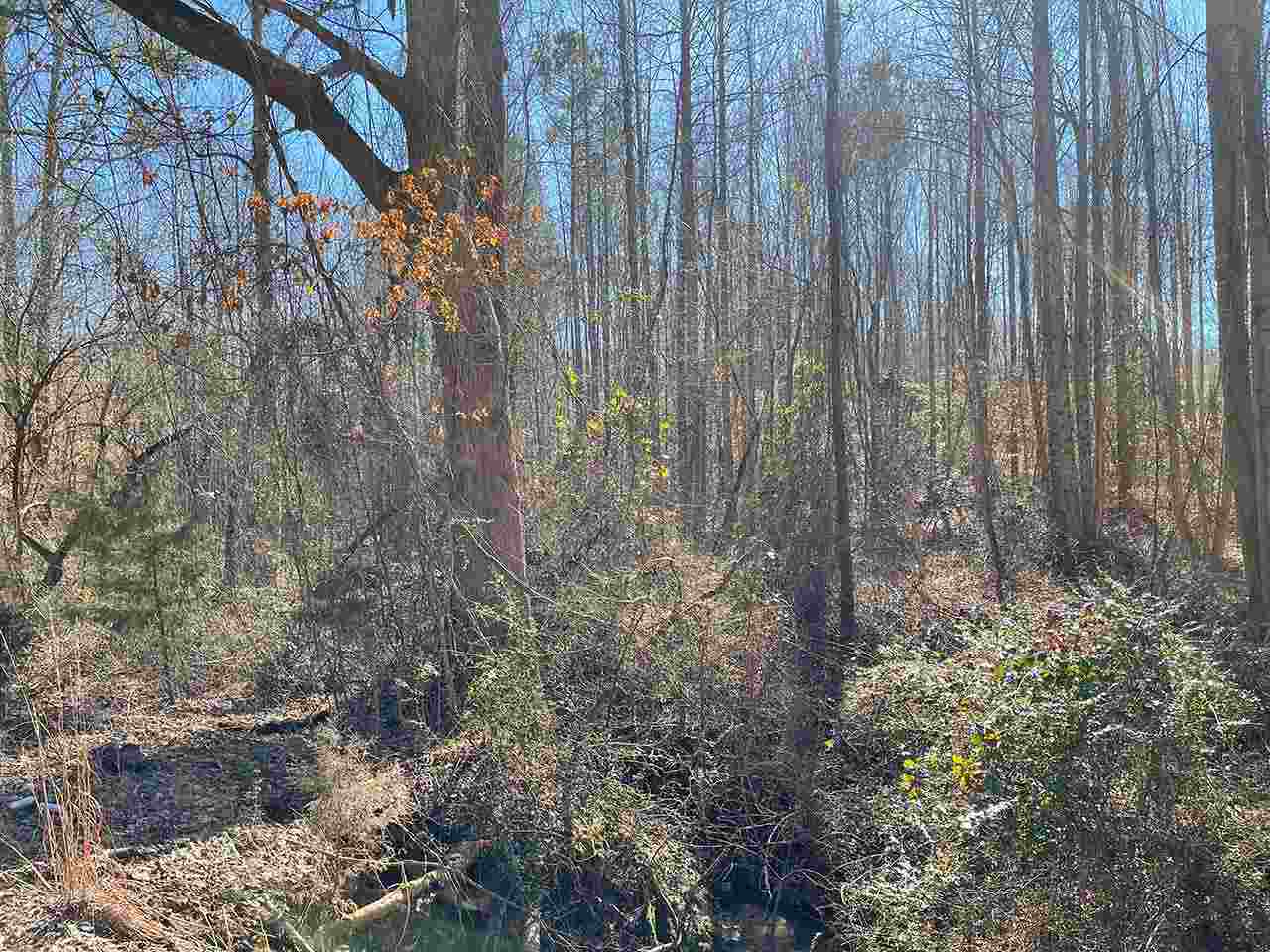 1285 Fairfield Road Chesnee, SC 29323 - Photo 10 of 10
