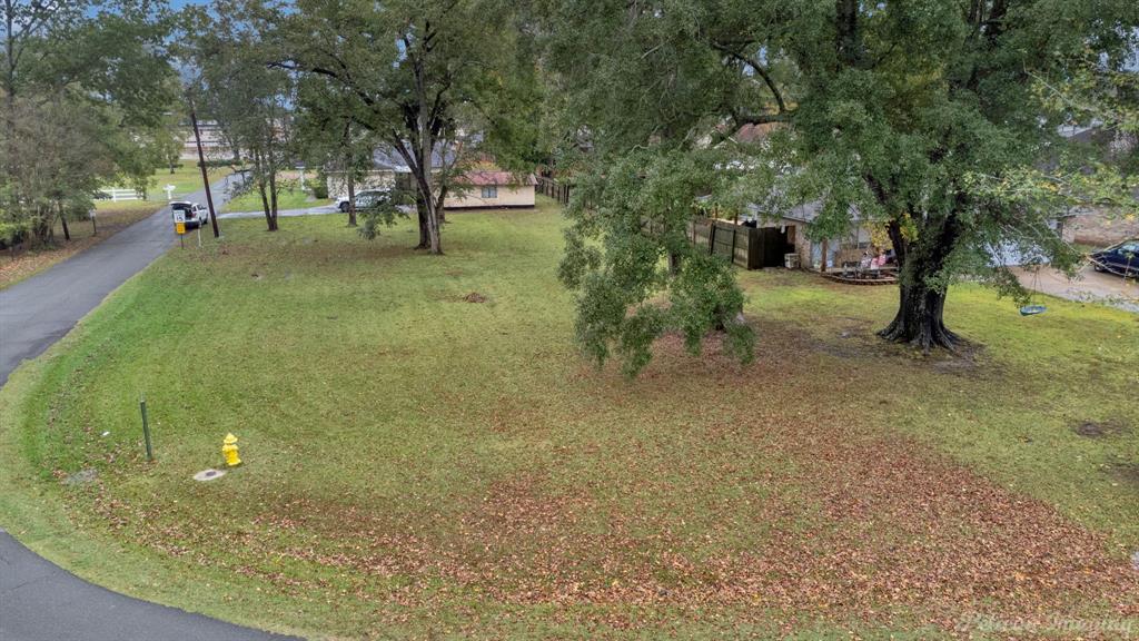 101 West Jefferson Street Haughton, LA 71037 - Photo 32 of 39 a view of a trees with a tree