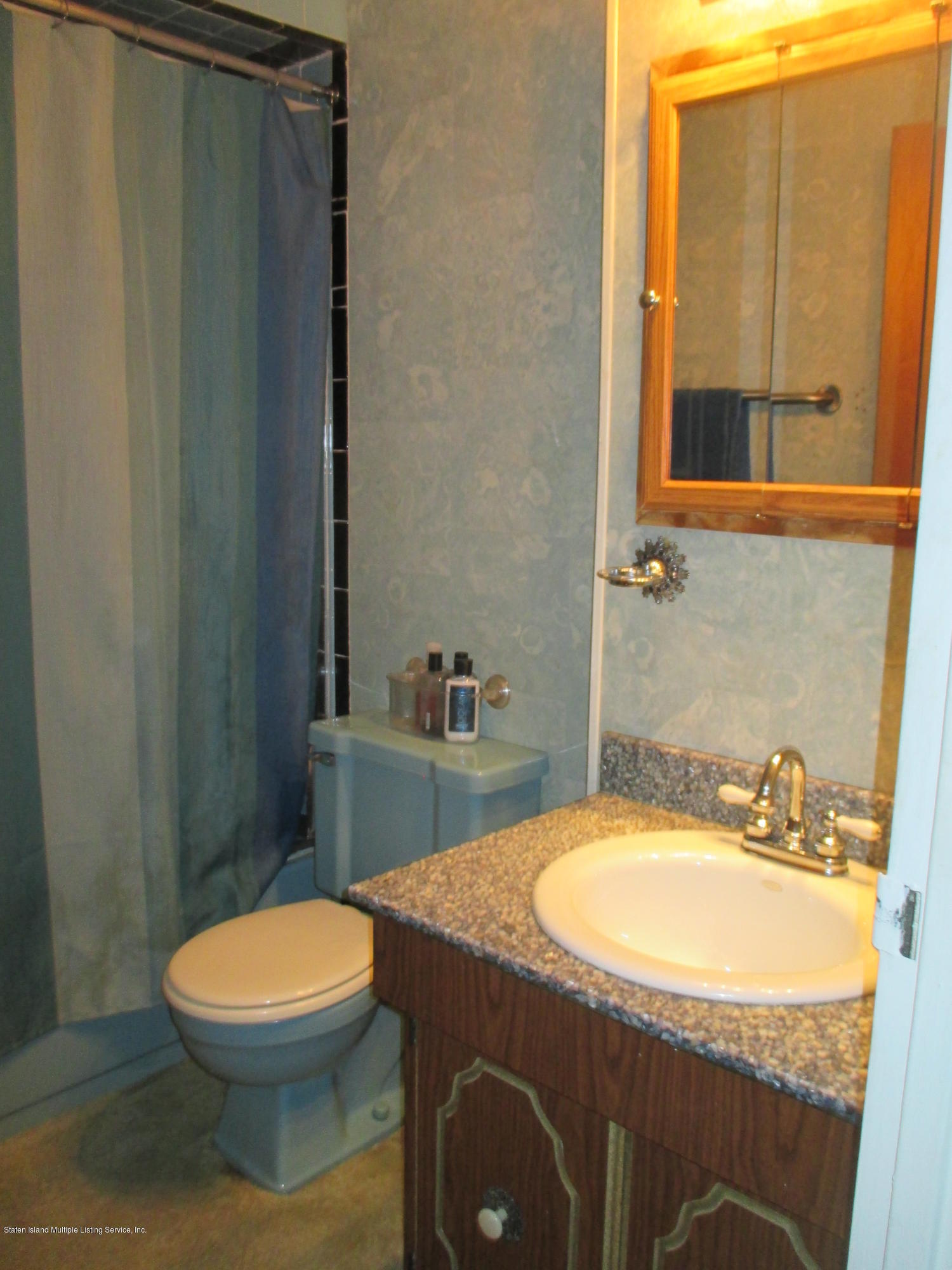 45 Annadale Road Staten Island, NY 10312 - Photo 13 of 17 IMG_4850