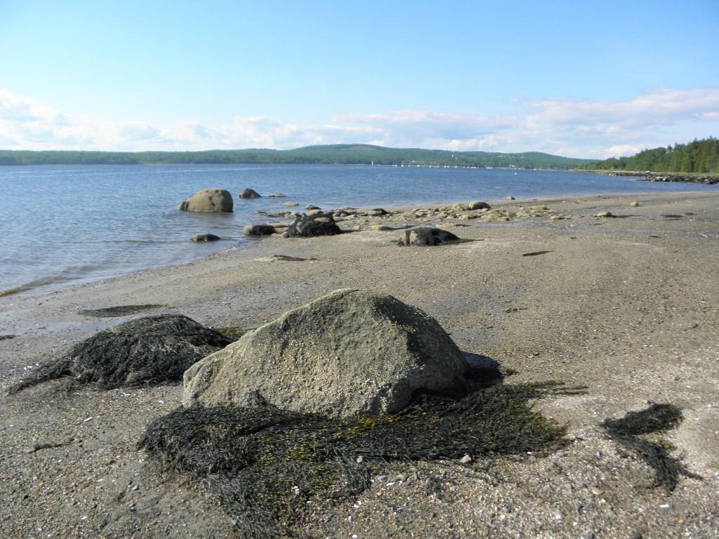 25 Rocky Point Road Stockton Springs, ME 04981 - Photo 12 of 23 Photo