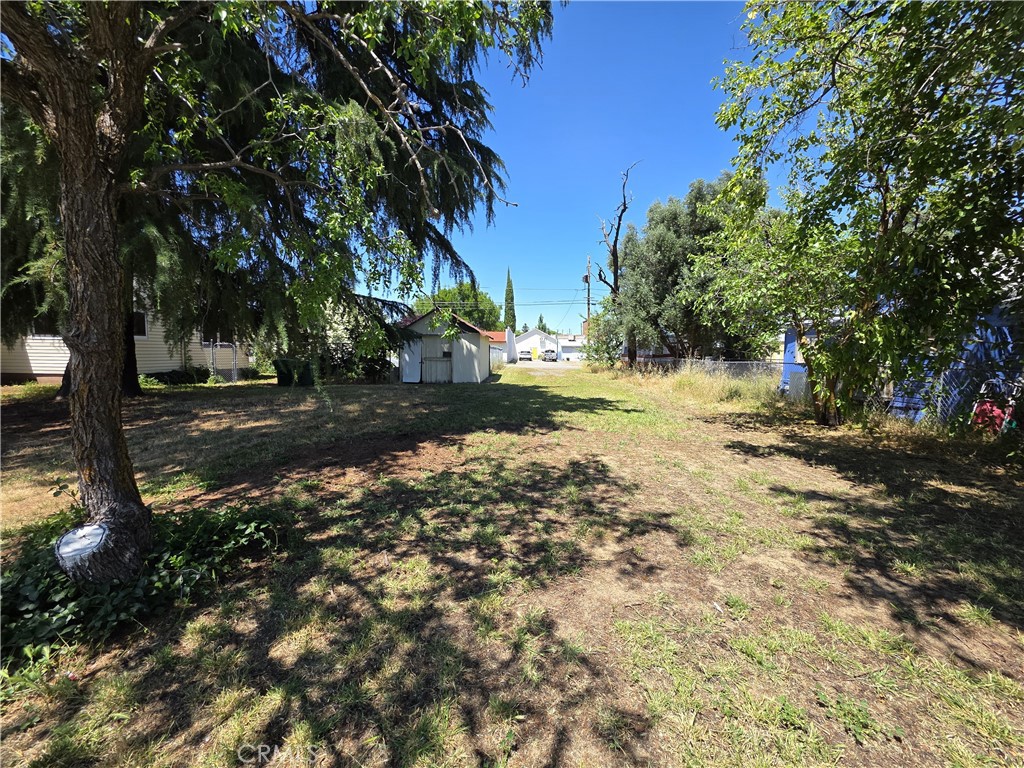 1414 Marin Street Corning, CA 96021 - Photo 37 of 43 a view of dirt yard with a large tree