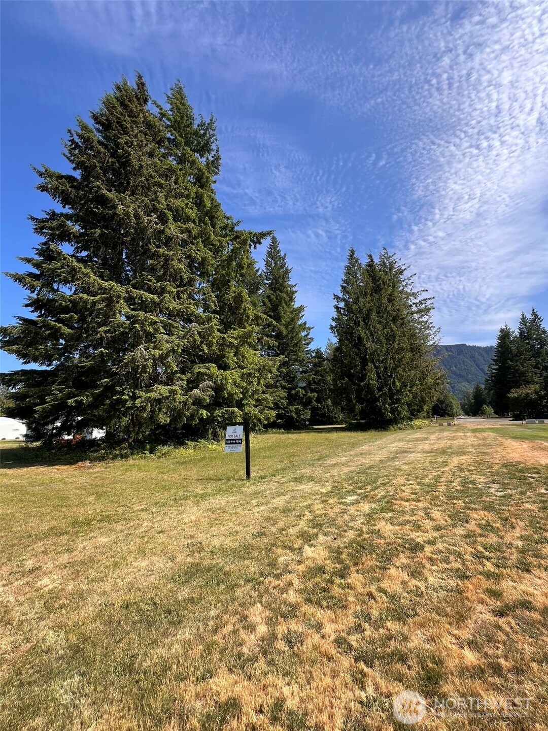 0 Shelton Road Randle, WA 98377 - Photo 3 of 11