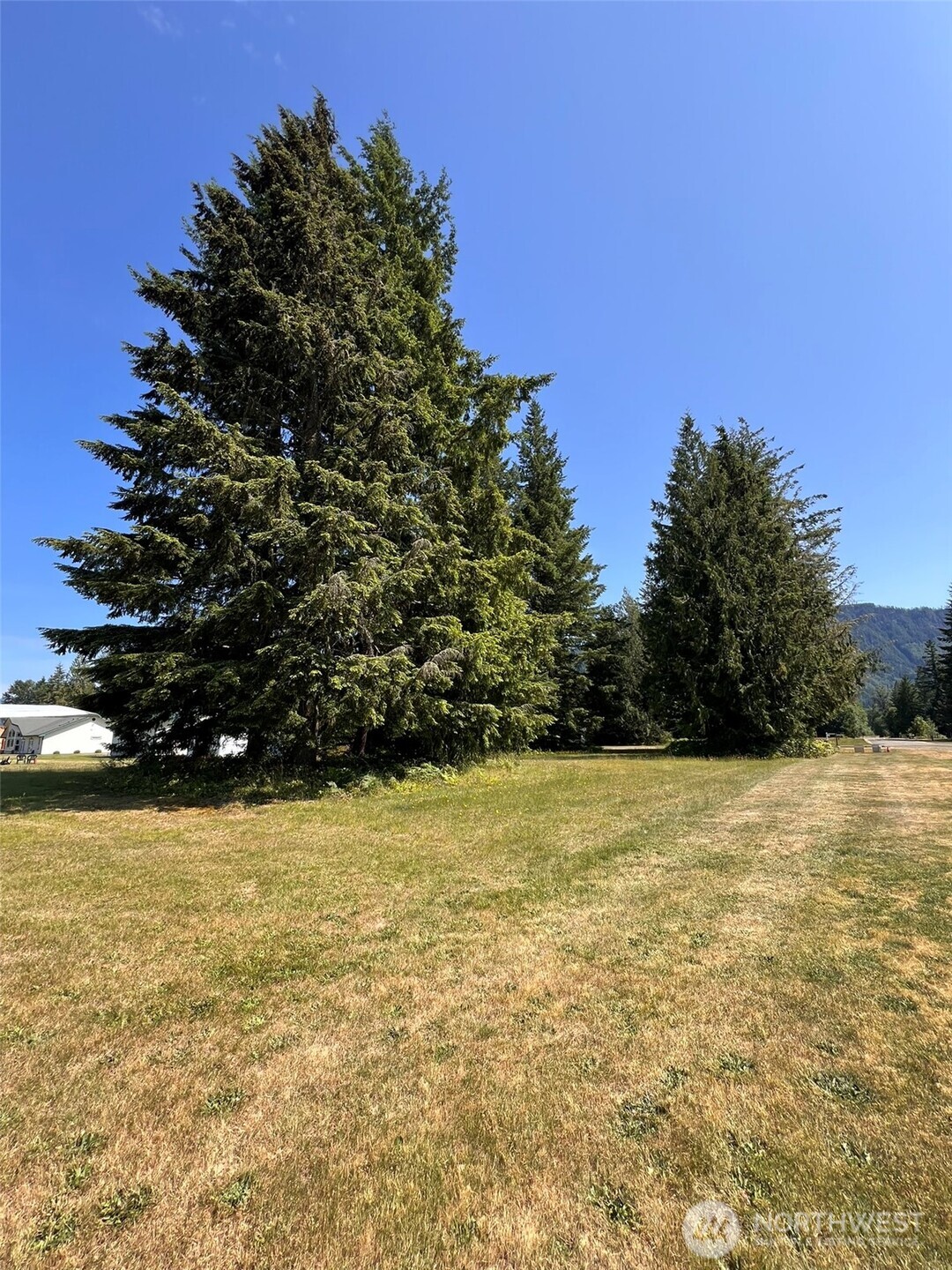 0 Shelton Road Randle, WA 98377 - Photo 4 of 11