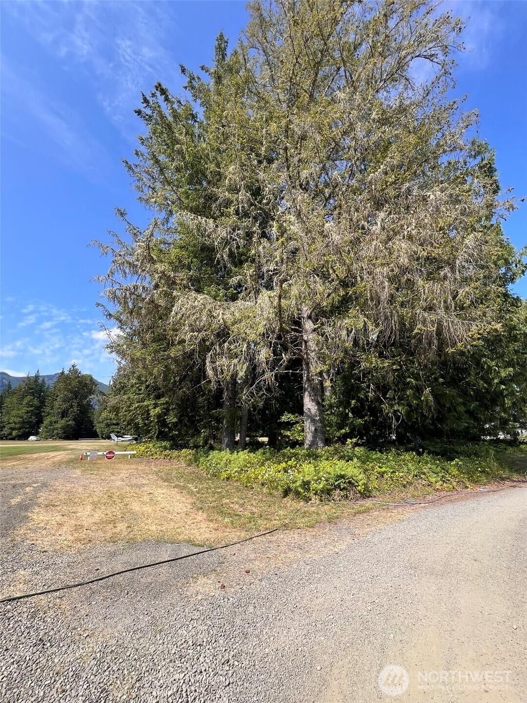 0 Shelton Road Randle, WA 98377 - Photo 6 of 11