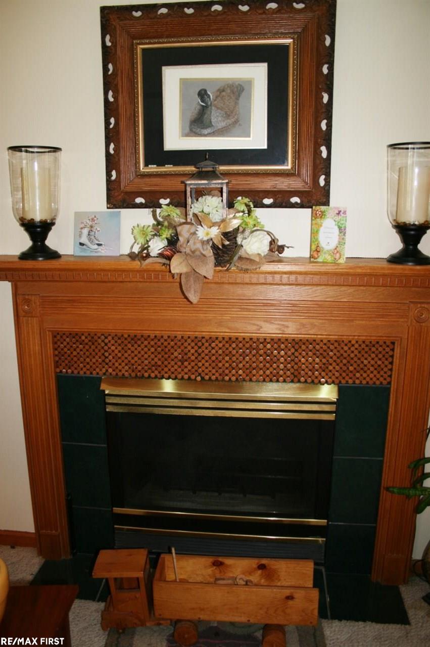 881 Riley Center Road Memphis, MI 48041 - Photo 11 of 43 31325550-10.JPG