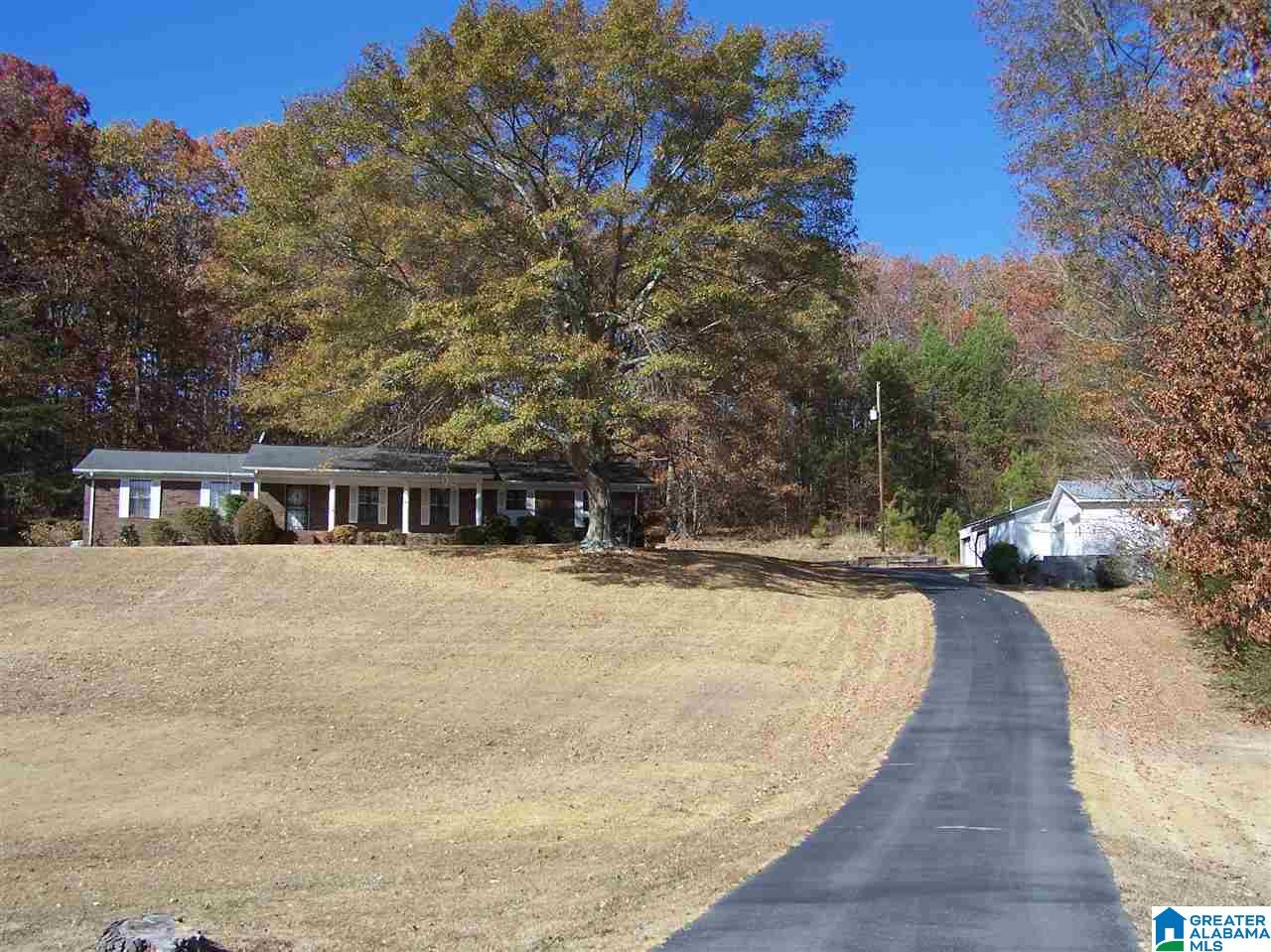 3383 County Road 42 Oneonta, AL 35121 - Photo 13 of 49