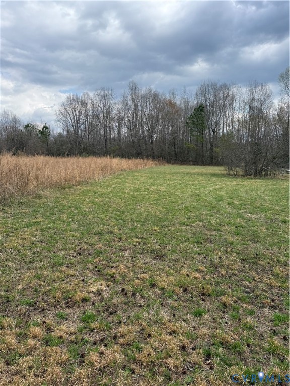 Tbd #2 Clarke Road Lanexa, VA 23089 - Photo 5 of 9 a view of a yard with a lake view