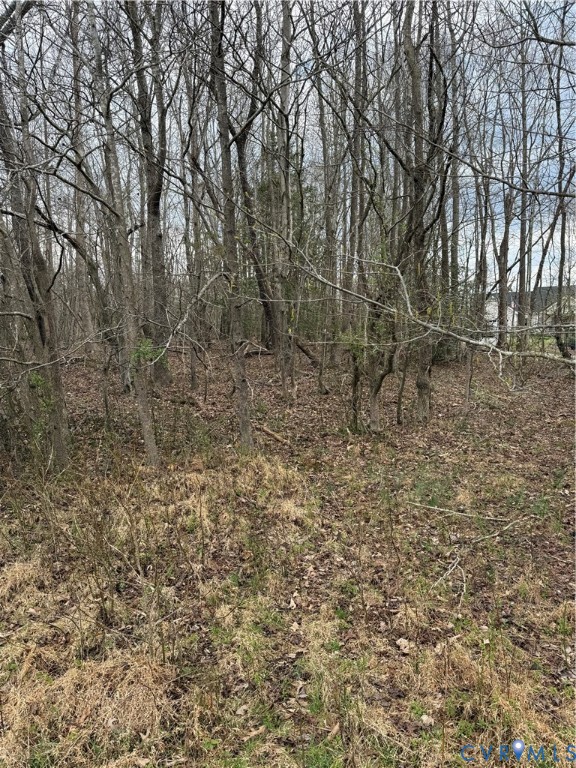 Tbd #2 Clarke Road Lanexa, VA 23089 - Photo 8 of 9 a view of a yard with a tree