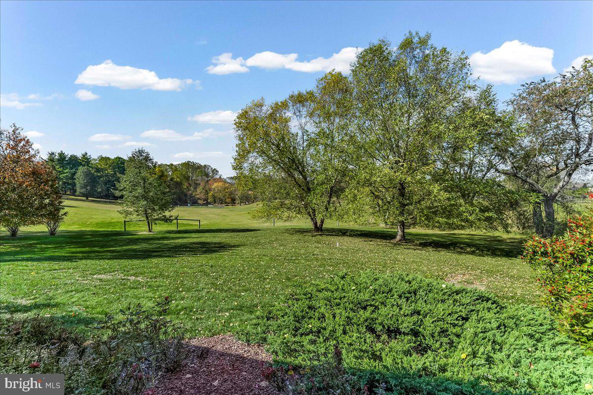 411 Webb Road Chadds Ford, PA 19317 - Photo 22 of 73 Beautiful grounds and property