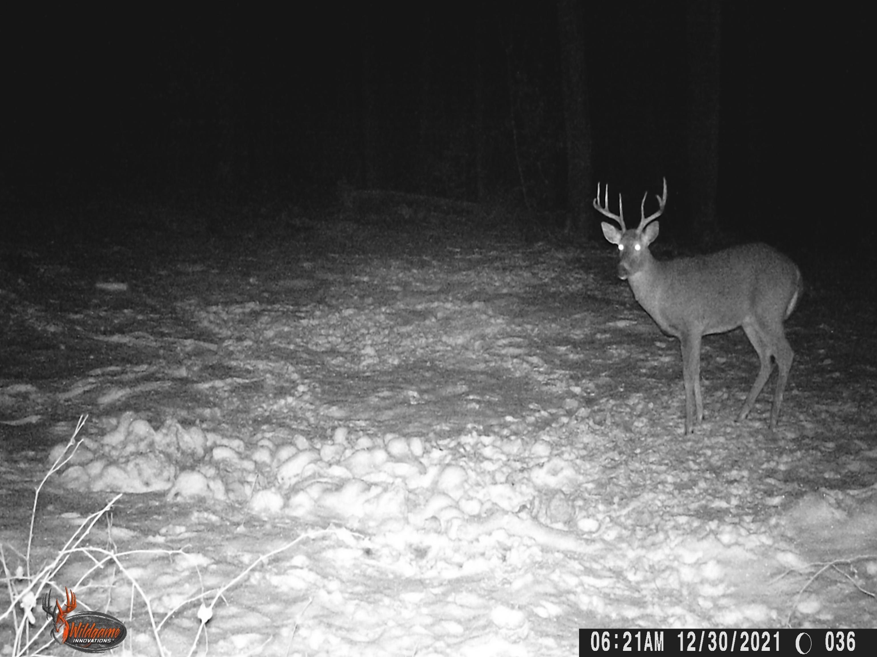 8613 Anderson Road Kaleva, MI 49645 - Photo 71 of 73 1924208-2a218f8a-3f8c-419c-85c7-ceb3ecc06c00.JPG