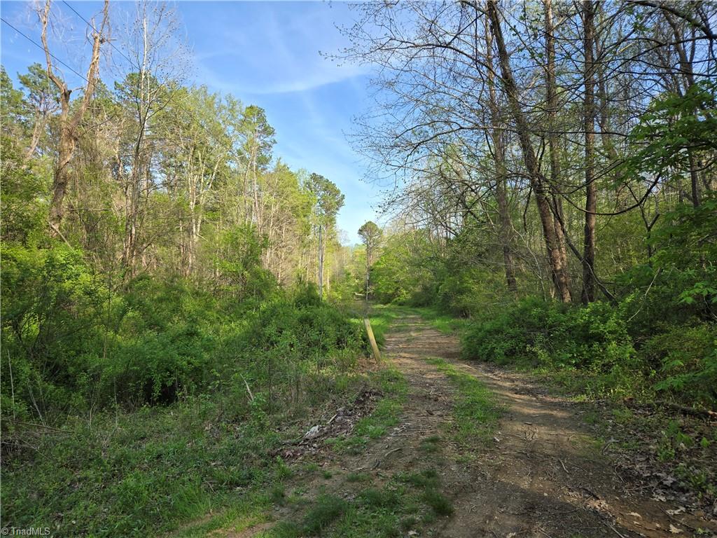 0 Hoover Hill Road Asheboro, NC 27205 - Photo 9 of 29