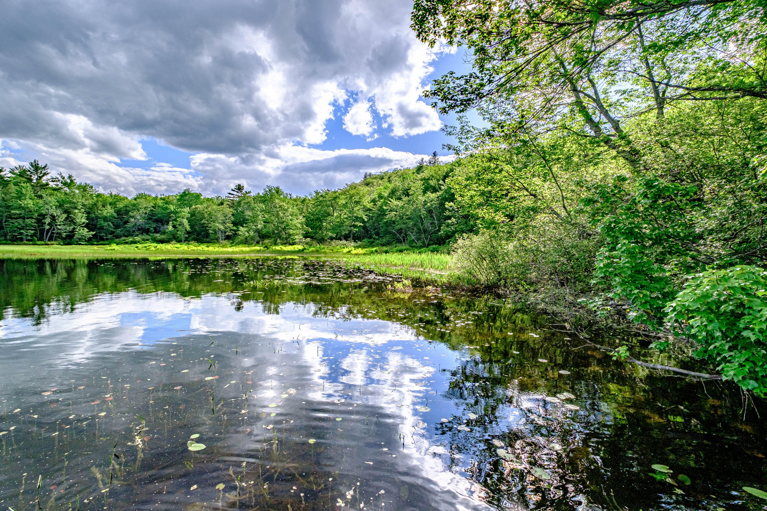 142 5 Kezar Ponds Road Waterford, ME 04088 - Photo 51 of 73 20220610gp-67021