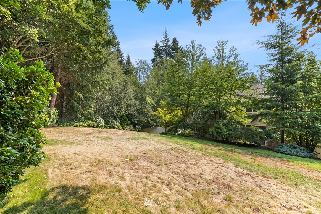 4729 176th Street Southeast Bothell, WA 98012 - Photo 37 of 40 a view of a yard with a tree