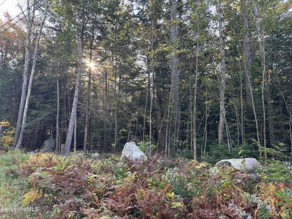 $23,500 | Hopkins Lane, Becket, MA 01223