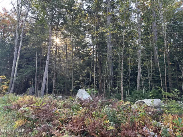 a backyard of a house with lots of green space and plants