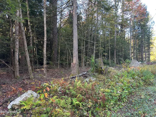 $23,500 | Hopkins Lane, Becket, MA 01223