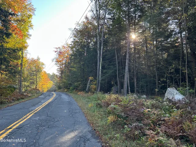 a view of a yard with plants and trees