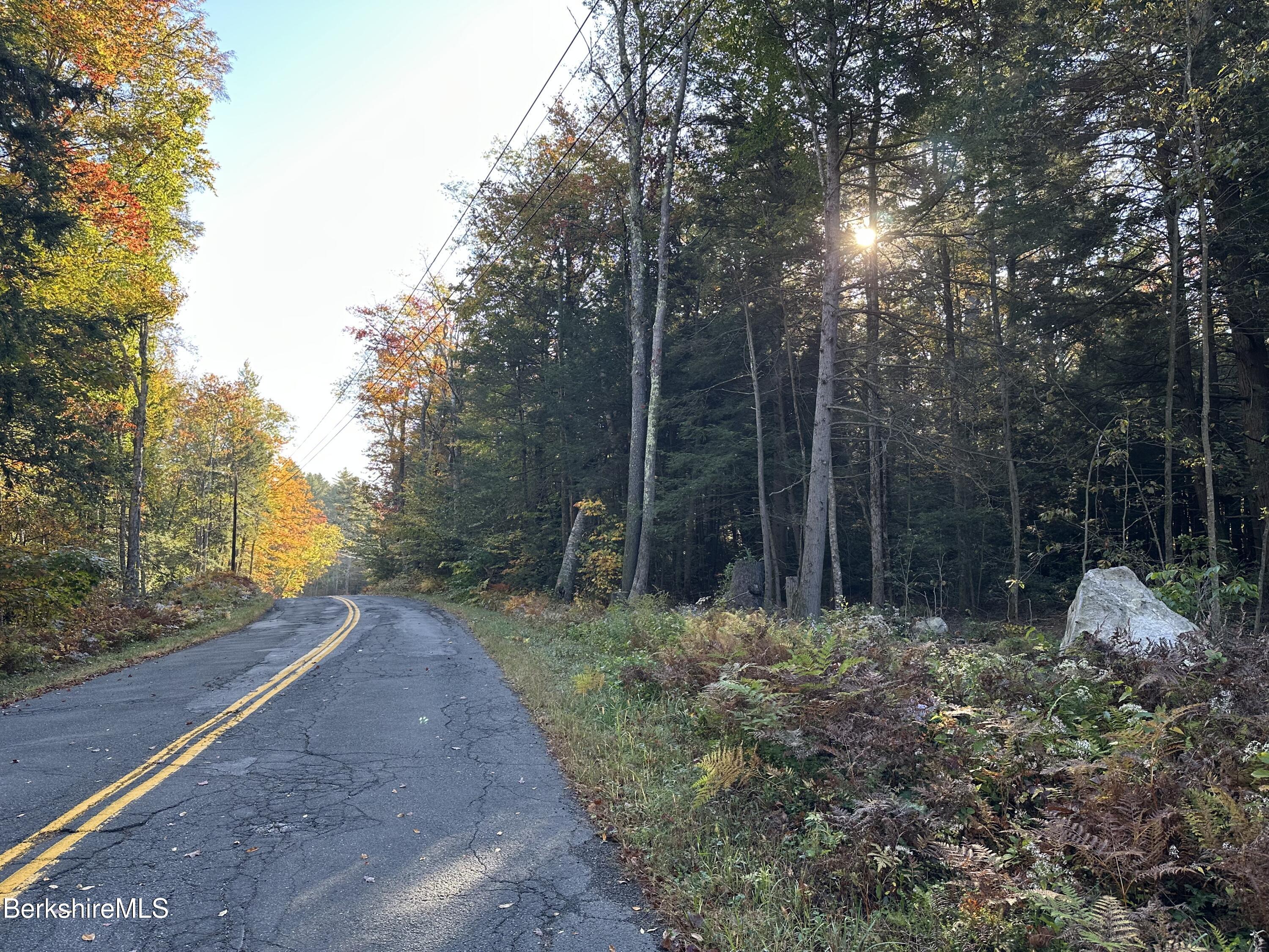 Hopkins Lane Becket, MA 01223 - Photo 4 of 5 a view of a yard with plants and trees