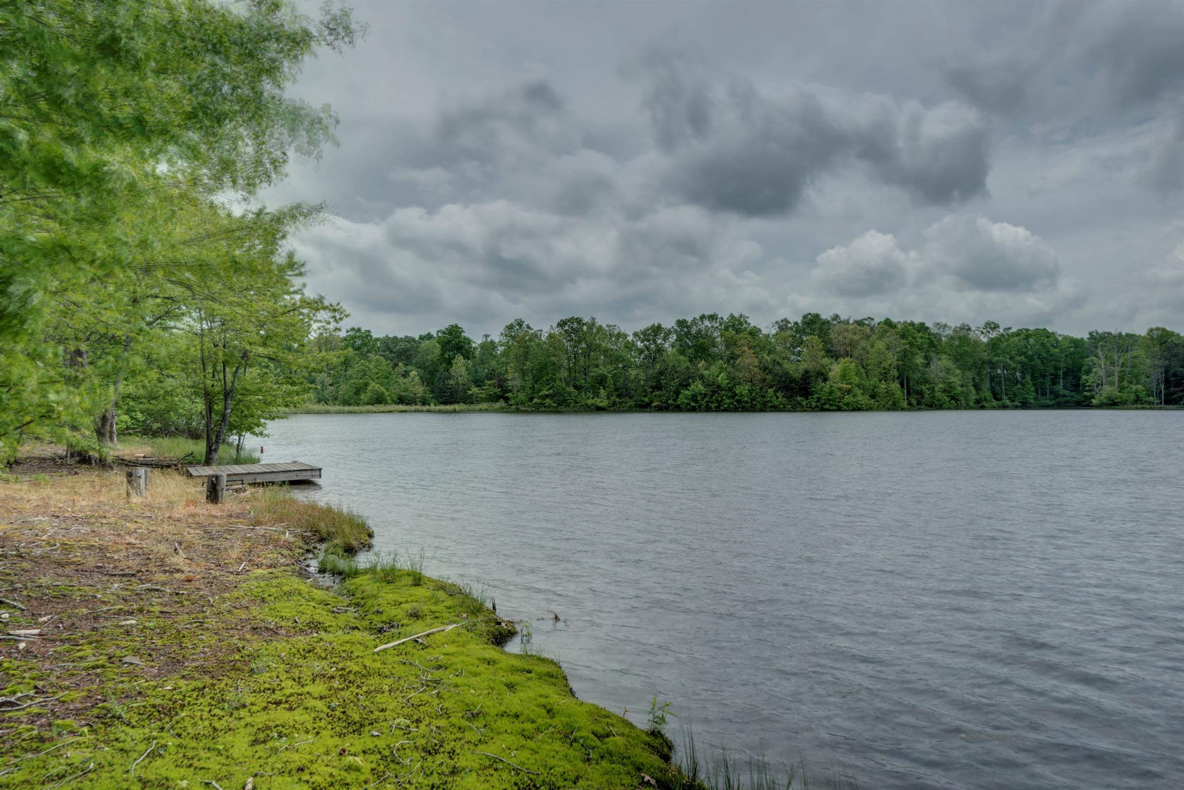 399 Bunkhouse Road Spencer, TN 38585 - Photo 4 of 29 Gallery Image 4