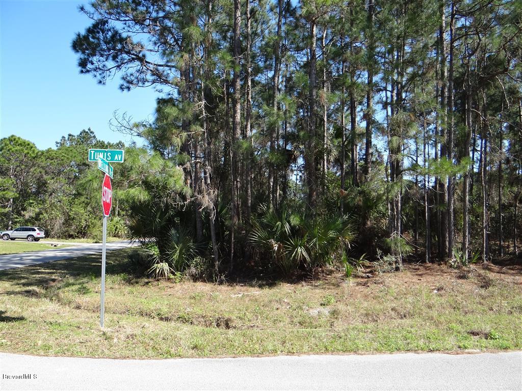 0 Tunis Road Palm Bay, FL 32908 - Photo 1 of 8 1 tunis