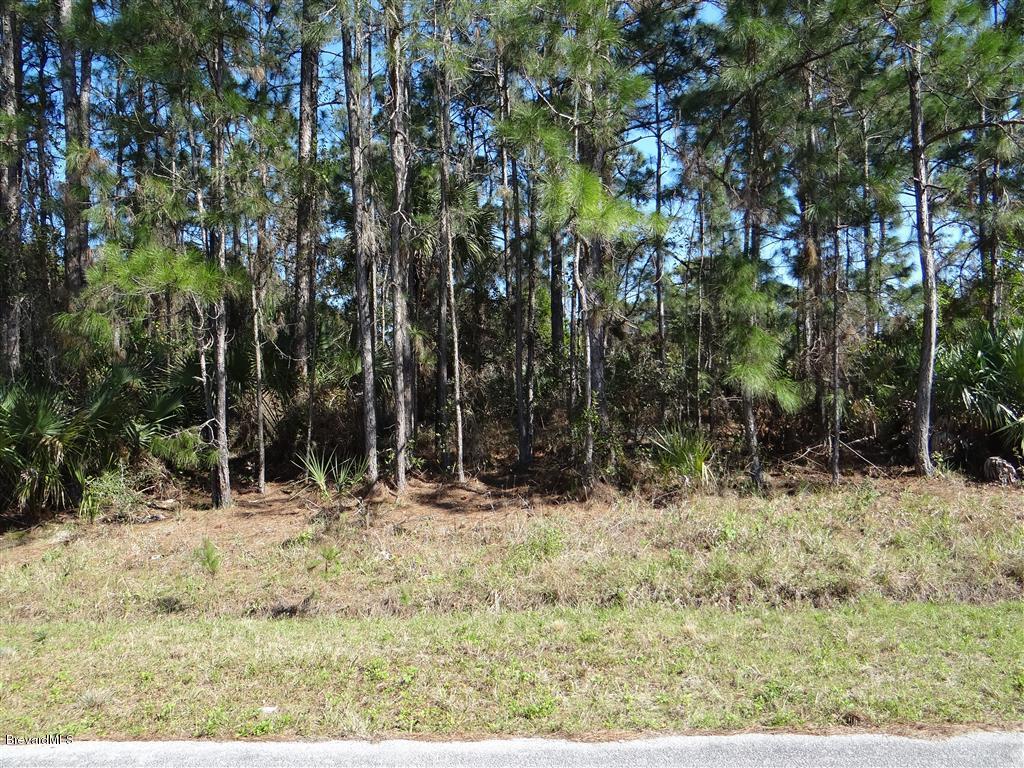 0 Tunis Road Palm Bay, FL 32908 - Photo 5 of 8 2 tunis