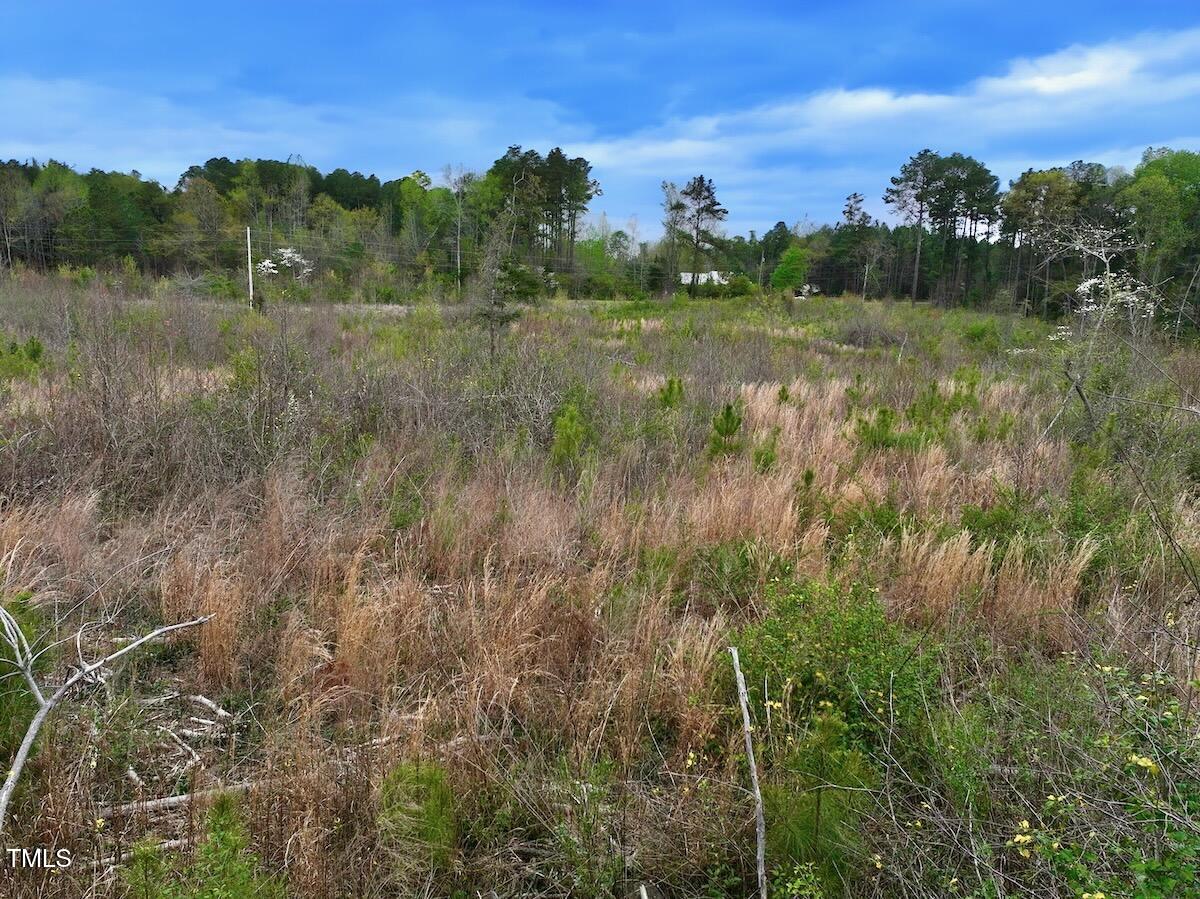 0 Kelly Plantation Road Carthage, NC 28327 - Photo 16 of 26 16