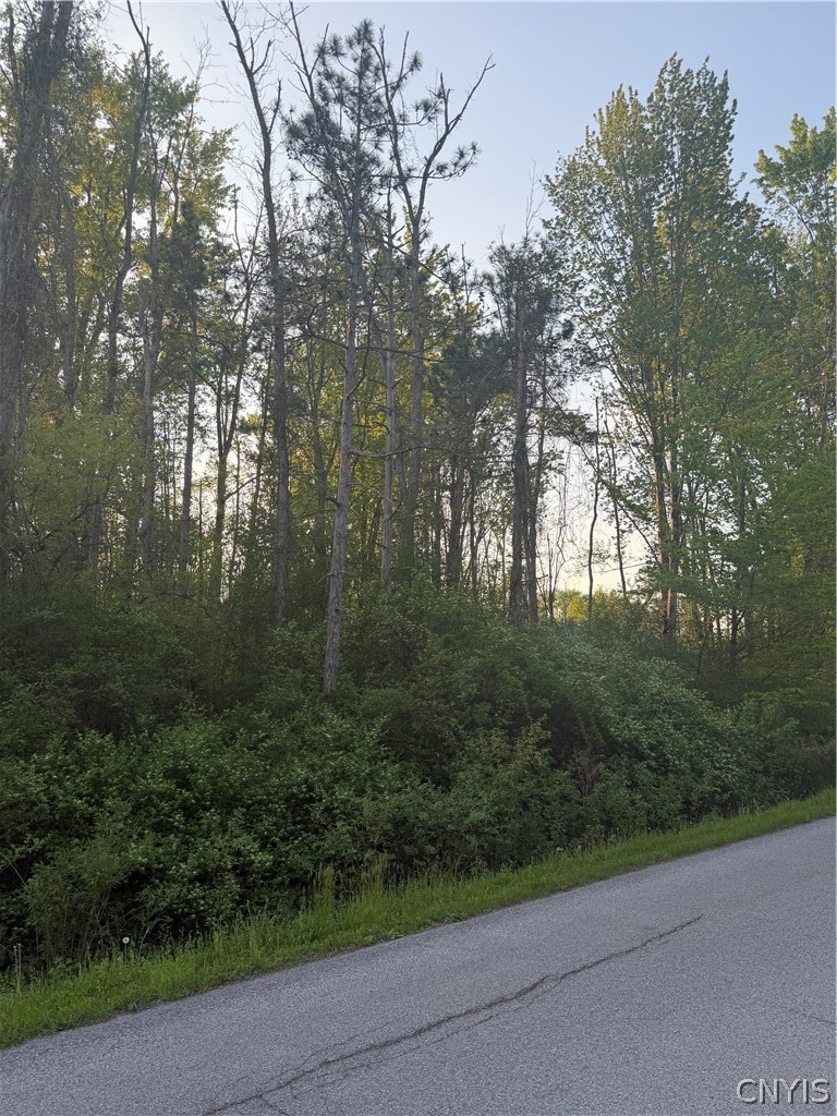 Miner Road Chittenango, NY 13037 - Photo 12 of 19