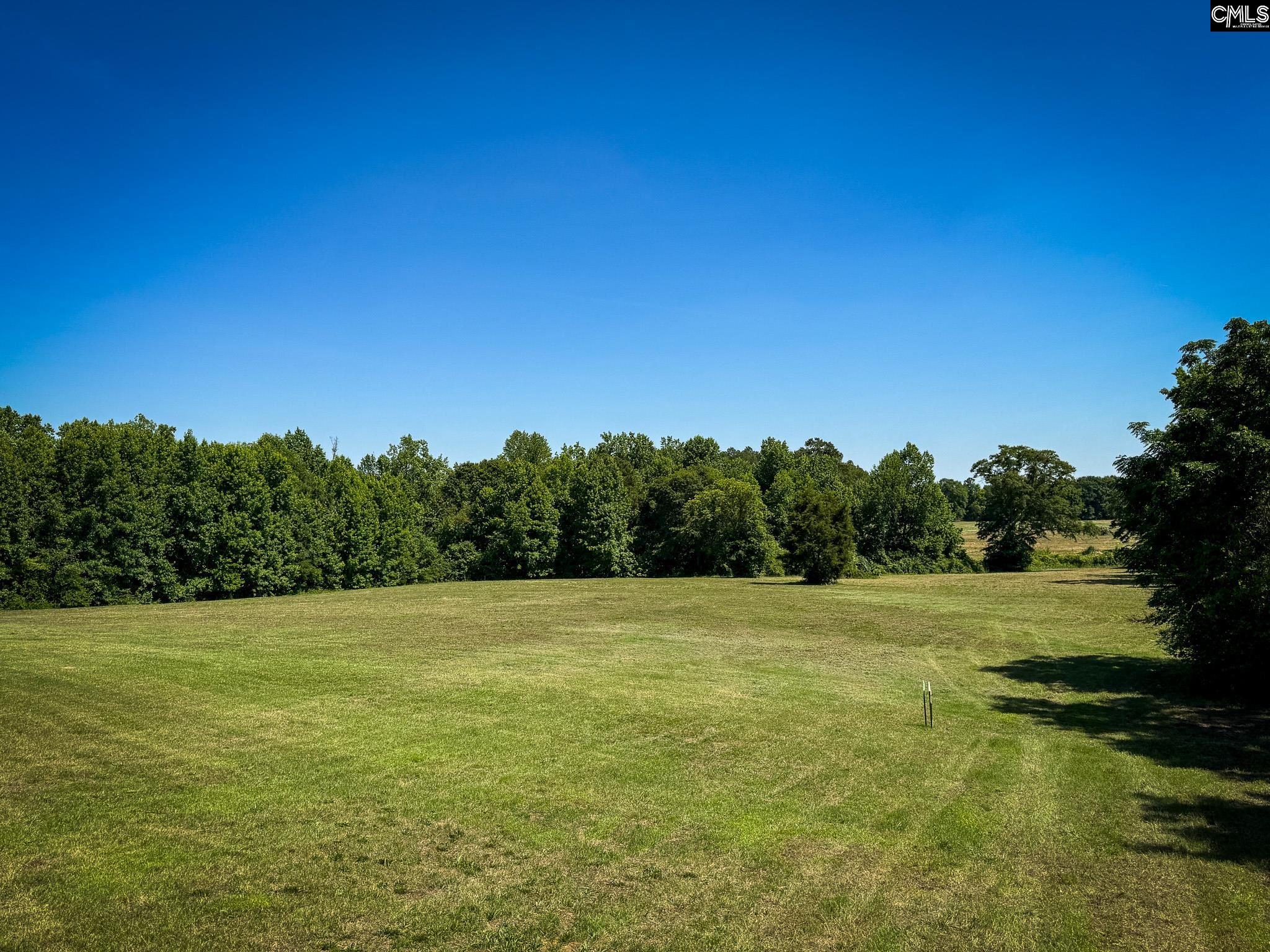 0 Shealy Road, Unit LOT 7 Batesburg, SC 29006 - Photo 4 of 14 Gallery Image 4
