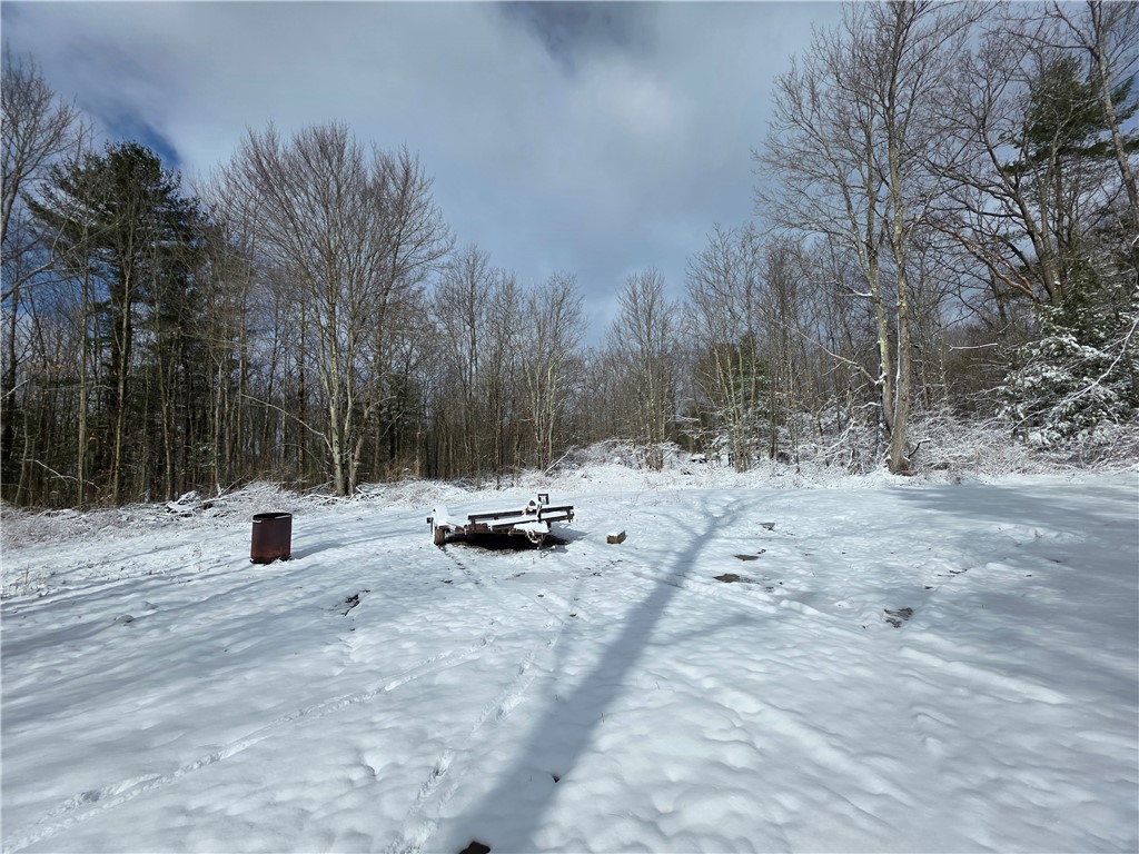 4679 Cook Road Woodhull, NY 14898 - Photo 17 of 50