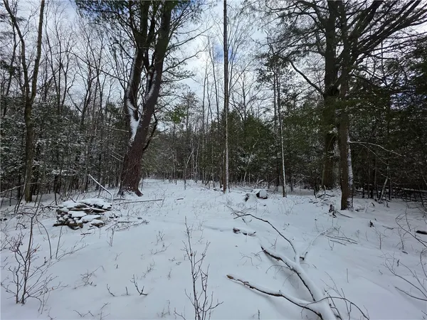 $290,000 | 4679 Cook Road, Woodhull, NY 14898