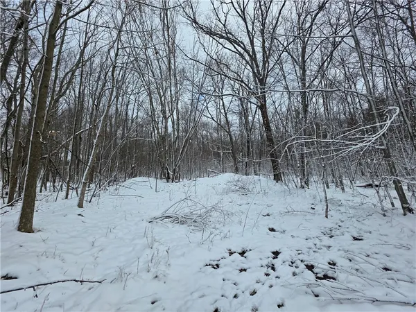 $290,000 | 4679 Cook Road, Woodhull, NY 14898