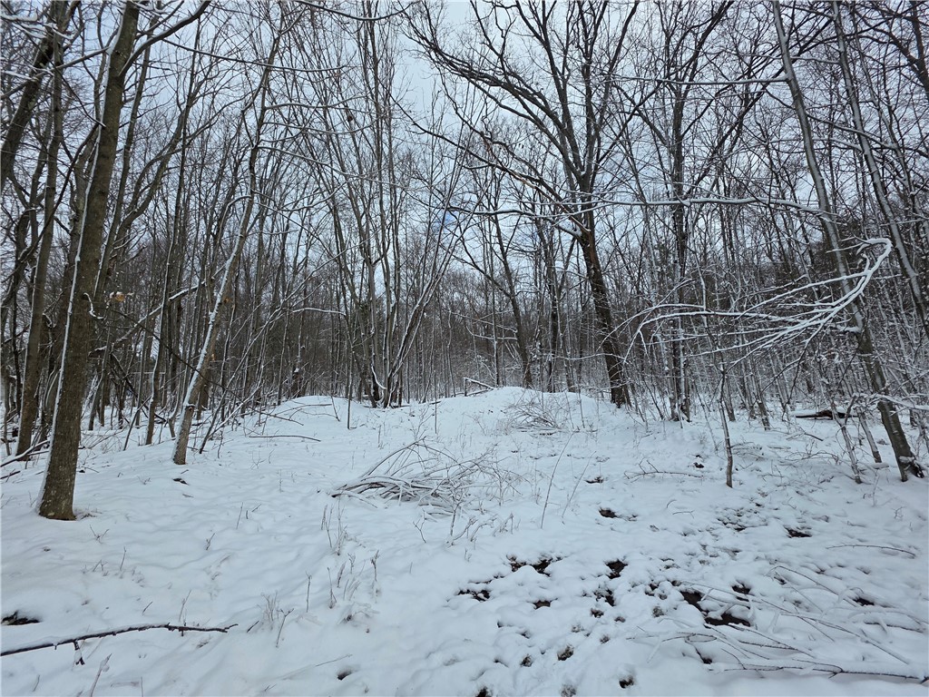 4679 Cook Road Woodhull, NY 14898 - Photo 19 of 50