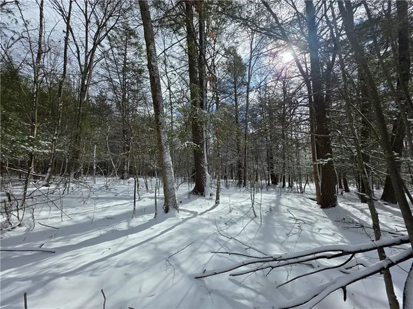 $290,000 | 4679 Cook Road, Woodhull, NY 14898