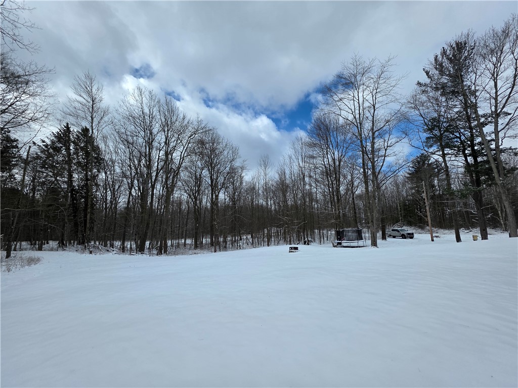 4679 Cook Road Woodhull, NY 14898 - Photo 7 of 50