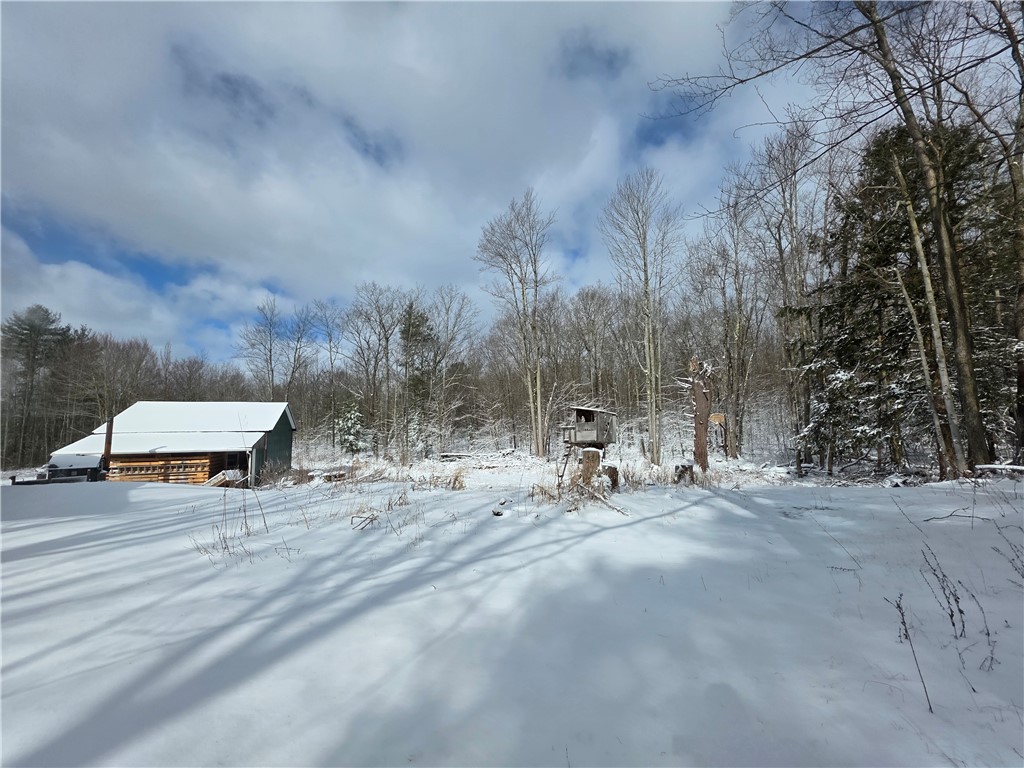 4679 Cook Road Woodhull, NY 14898 - Photo 9 of 50