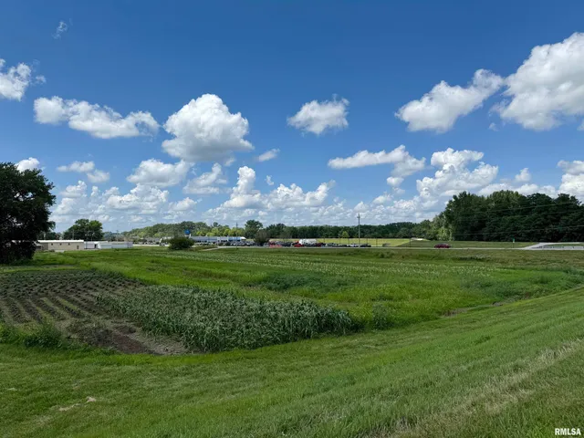 $250,000 | Lot 110-4 -5 6 1st Avenue, Unit EAST, Milan, IL 61264