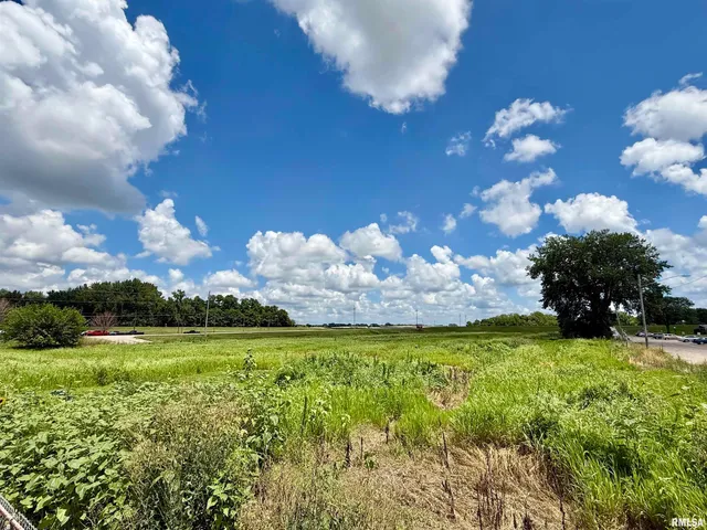 $250,000 | Lot 110-4 -5 6 1st Avenue, Unit EAST, Milan, IL 61264