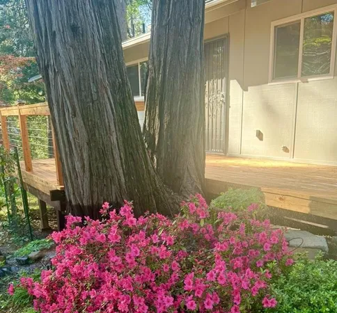 $464,000 | 12894 Banner Lava Cap Road, Nevada City, CA 95959