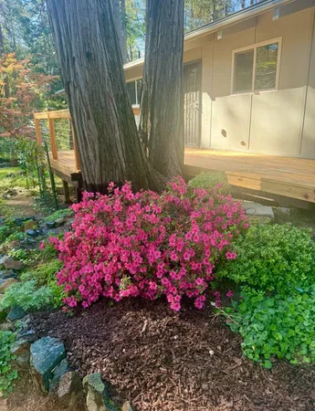 $464,000 | 12894 Banner Lava Cap Road, Nevada City, CA 95959