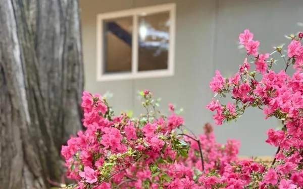 $464,000 | 12894 Banner Lava Cap Road, Nevada City, CA 95959