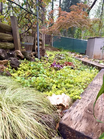 $464,000 | 12894 Banner Lava Cap Road, Nevada City, CA 95959