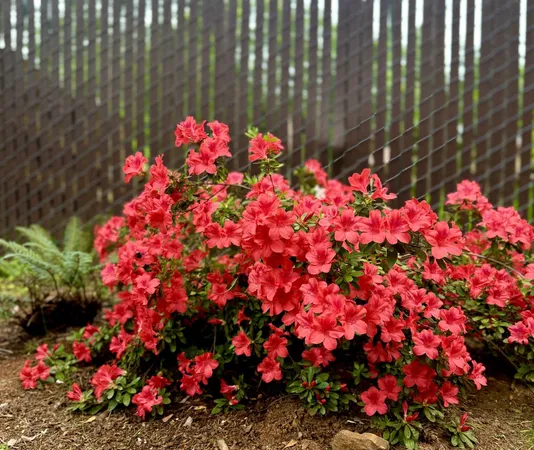 $464,000 | 12894 Banner Lava Cap Road, Nevada City, CA 95959