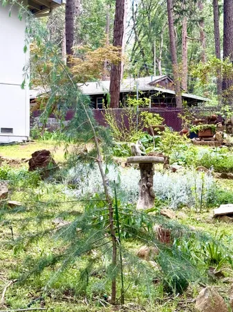 $464,000 | 12894 Banner Lava Cap Road, Nevada City, CA 95959