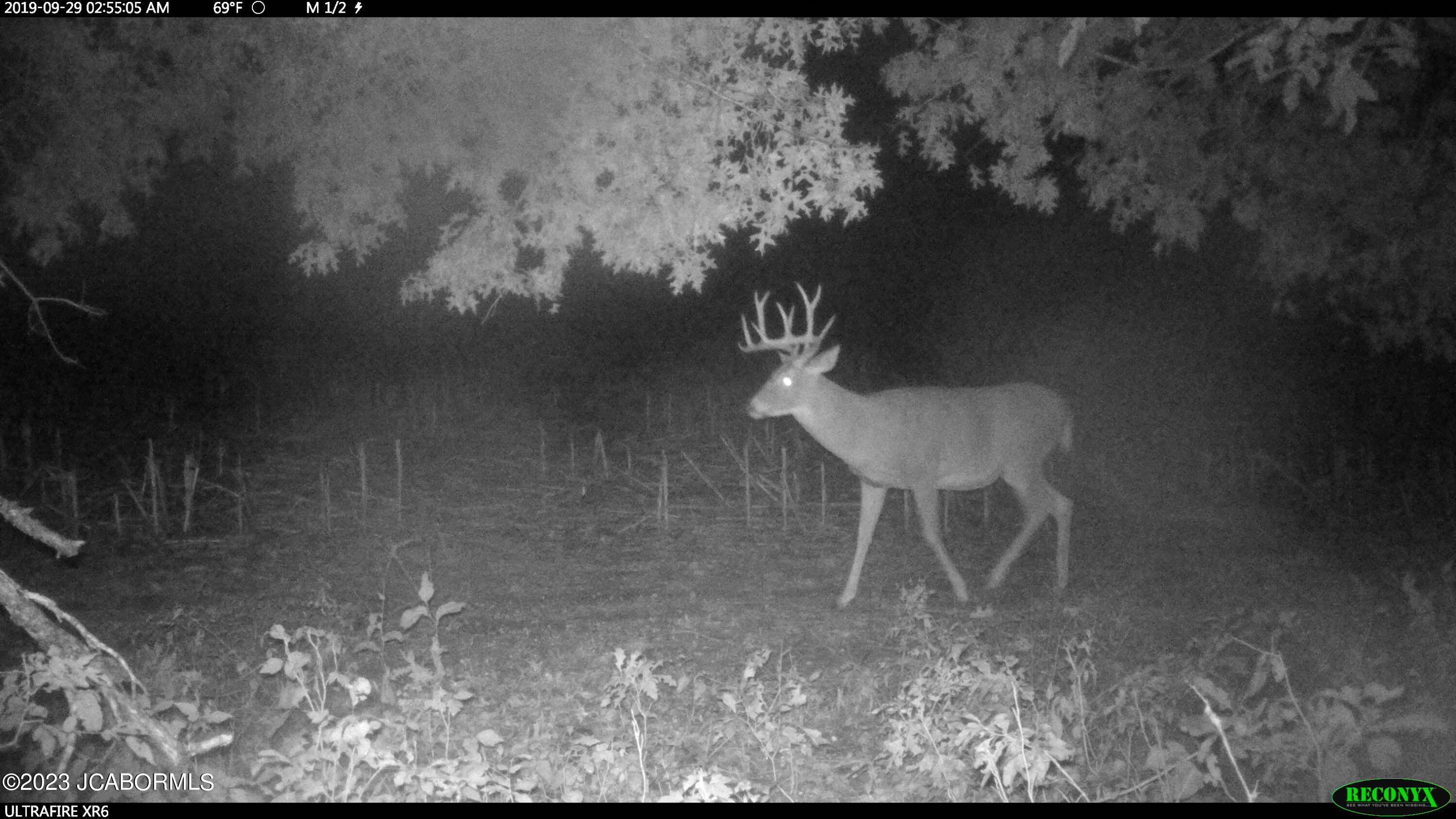 Tbd Big Lick Road Boonville, MO 65233 - Photo 57 of 59